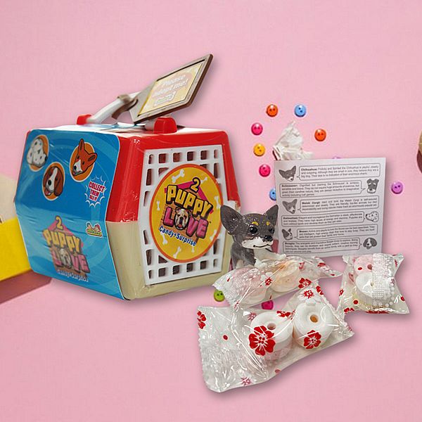 懷舊系列~寵物箱(附糖果)1組入 公仔款式隨機出貨 懷舊系列~寵物箱(附糖果)1組入 公仔款式隨機出貨