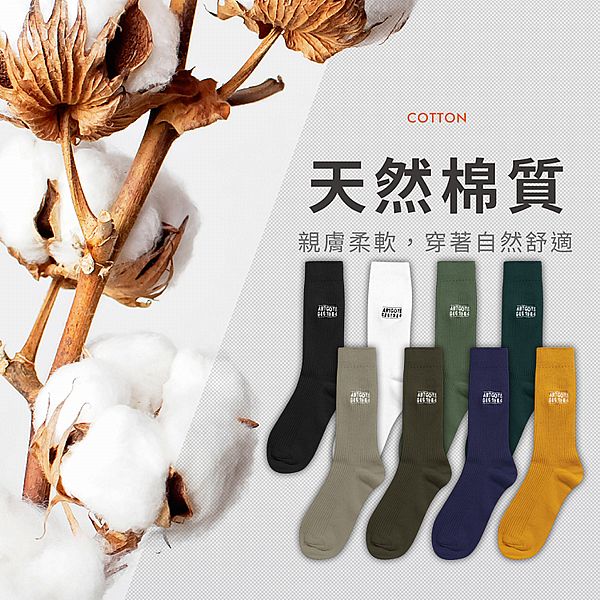 VOLA 維菈織品~ARTGOTE刺繡長襪(1雙入) 款式可選 25-27cm 男款 VOLA 維菈織品~ARTGOTE刺繡長襪(1雙入) 款式可選 25-27cm 男款