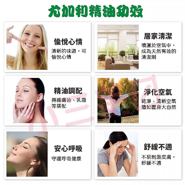 舒緩 精油 舒緩 乳液 澳洲 精油