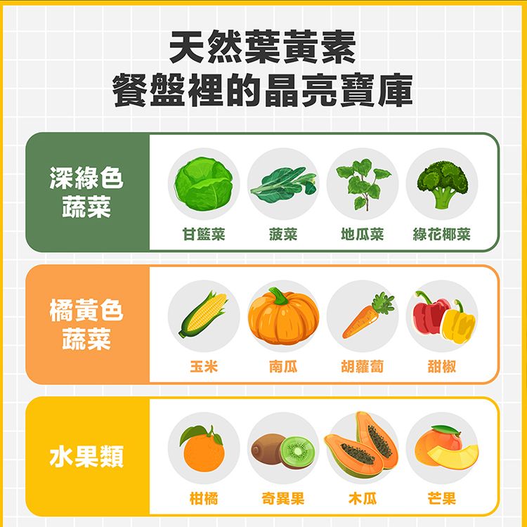 20260206165742882_750_0_80.jpg japan dhc 蝶翠詩 japan