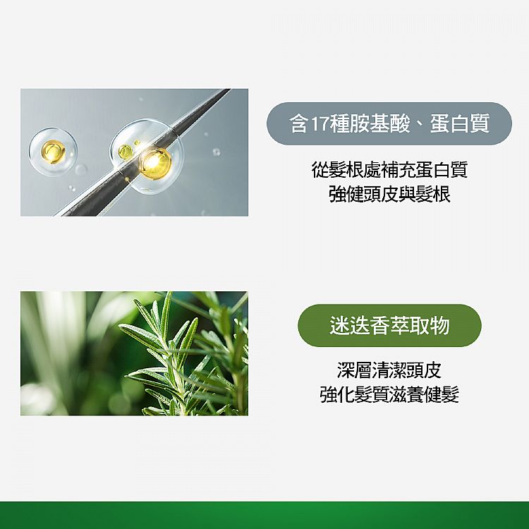 20230209114047078_750_0_200.jpg 去屑 洗髮精 去油 洗髮精 胺基酸 洗髮精