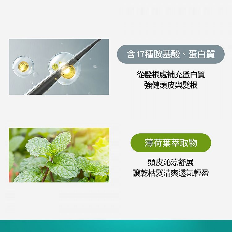 20230209114053107_750_0_200.jpg 去屑 洗髮精 去油 洗髮精 胺基酸 洗髮精