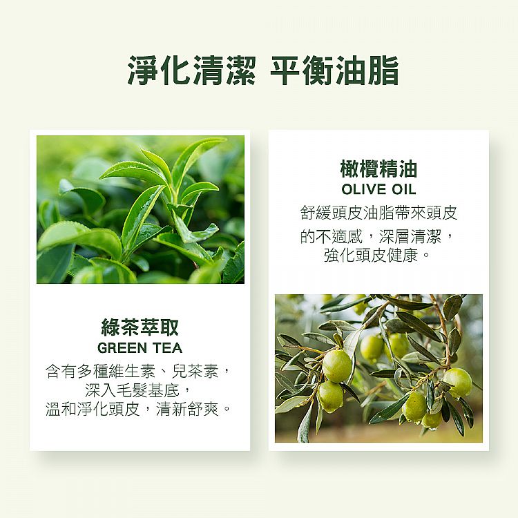 修復 洗髮精 護髮素 修復 頭皮 洗髮精