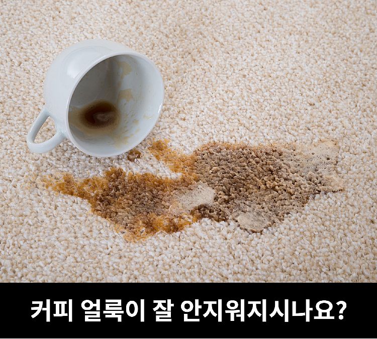 韓國 噴霧 去汙 噴霧