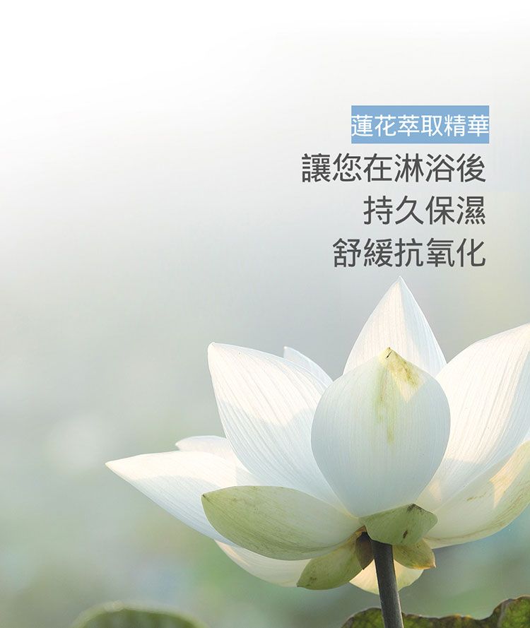 沐浴乳 身體清潔 沐浴露 身體清潔 沐浴精 身體清潔