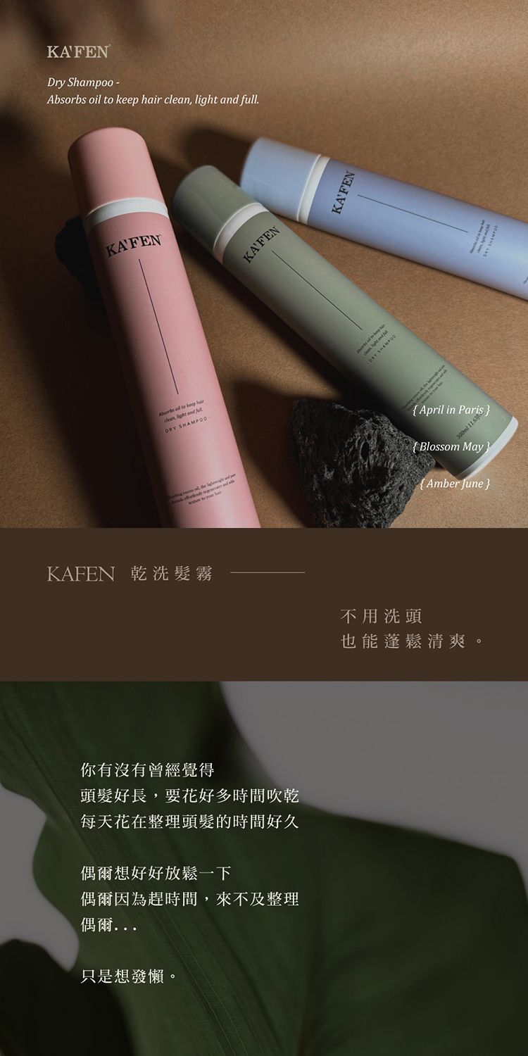 臺灣 造型 乾洗髮 頭髮清潔 造型 頭髮清潔