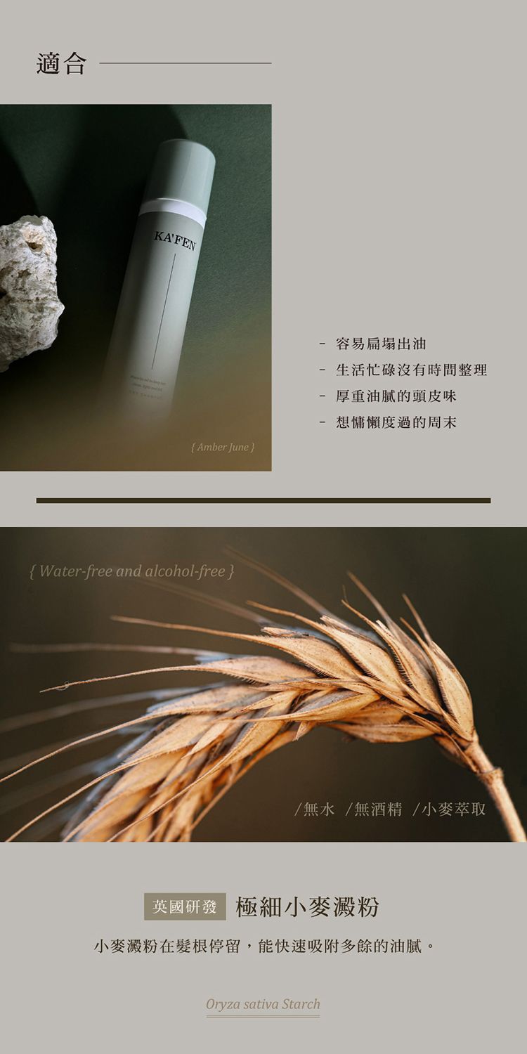 臺灣 造型 乾洗髮 頭髮清潔 造型 頭髮清潔