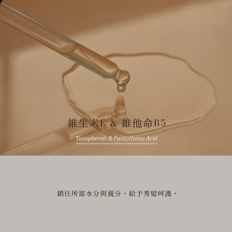 臺灣 造型 乾洗髮 頭髮清潔 造型 頭髮清潔