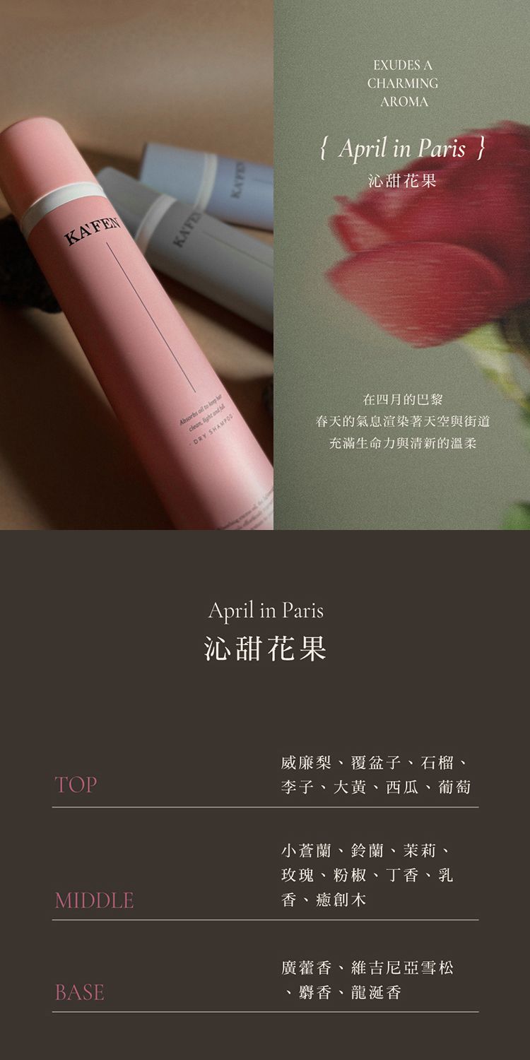 臺灣 造型 乾洗髮 頭髮清潔 造型 頭髮清潔