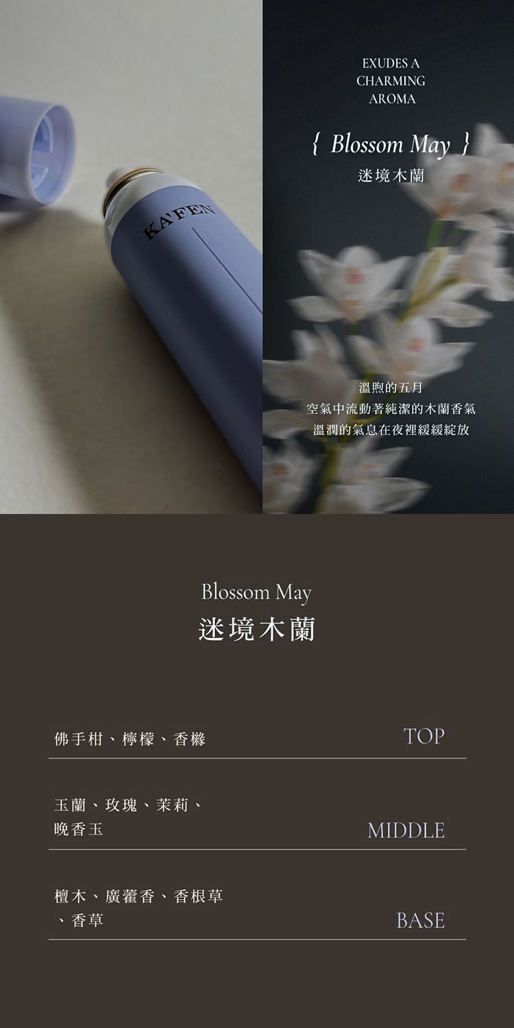 臺灣 造型 乾洗髮 頭髮清潔 造型 頭髮清潔