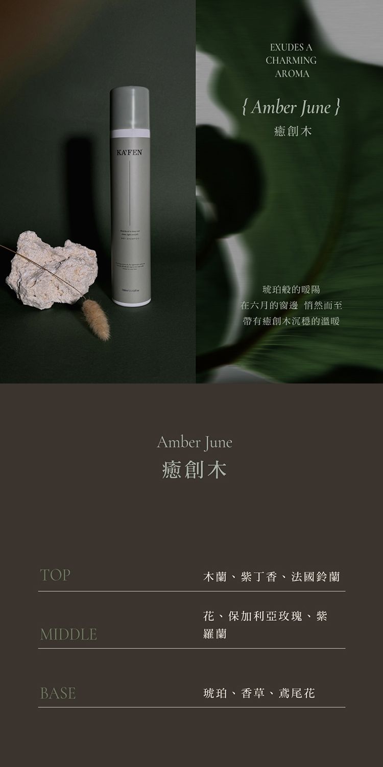 臺灣 造型 乾洗髮 頭髮清潔 造型 頭髮清潔