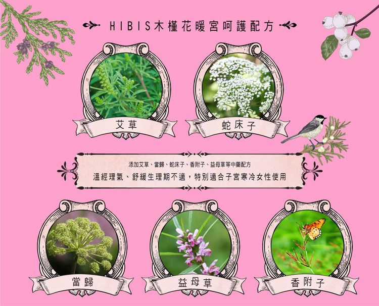 木槿花 衛生棉 草本 木槿花 衛生棉 草本