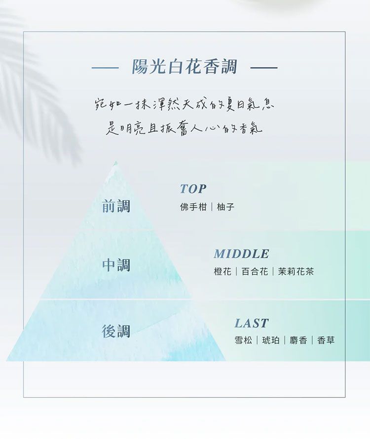 20260413103649637_750_0_80.jpg 洗髮精 頭髮清潔 修復 頭髮護理 修復 洗髮精