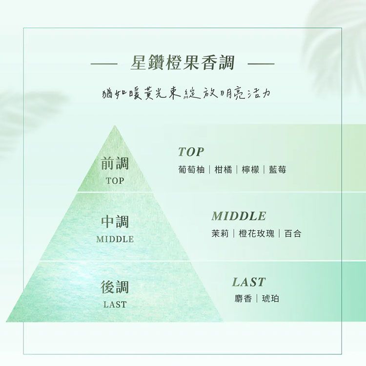 洗髮精 頭髮清潔 修復 頭髮護理 修復 洗髮精