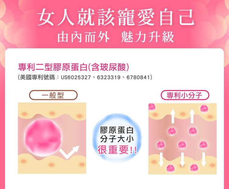 japan 保濕 膠原蛋白 保濕 japan 保健食品
