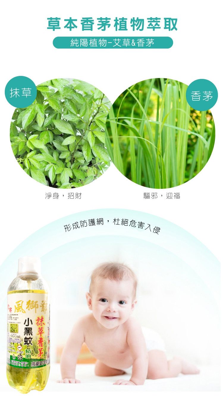 香茅 防蚊