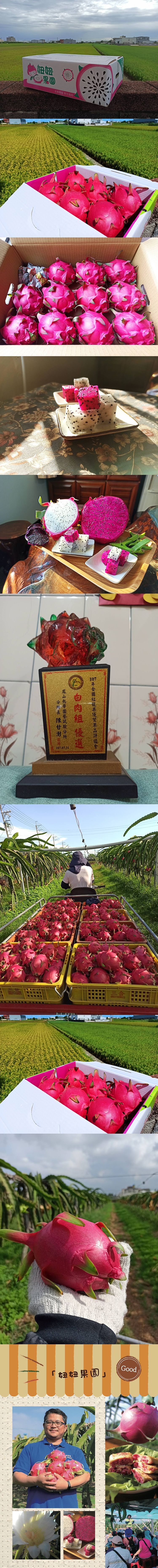20210624103444378_750_0_80.jpg 水果 火龍果