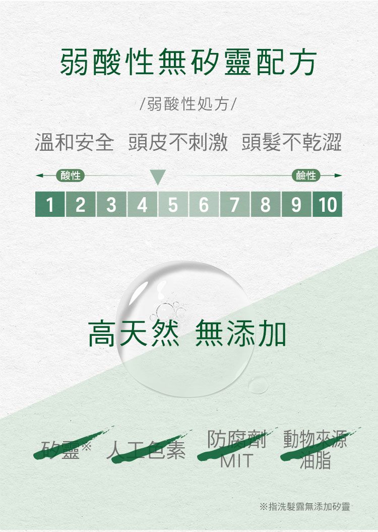 洗髮精 頭髮清潔 無矽靈 洗髮精 洗髮露 頭髮清潔