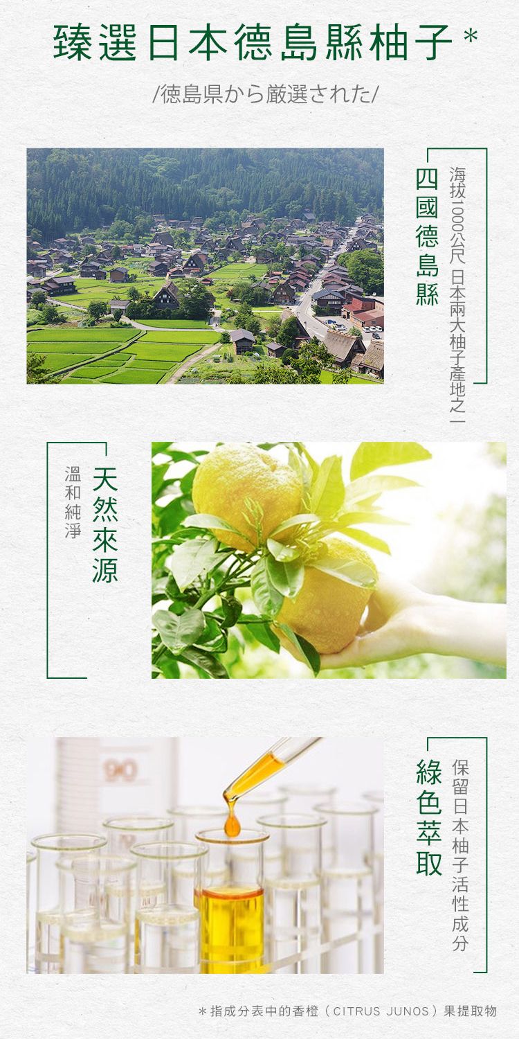 洗髮精 頭髮清潔 無矽靈 洗髮精 洗髮露 頭髮清潔