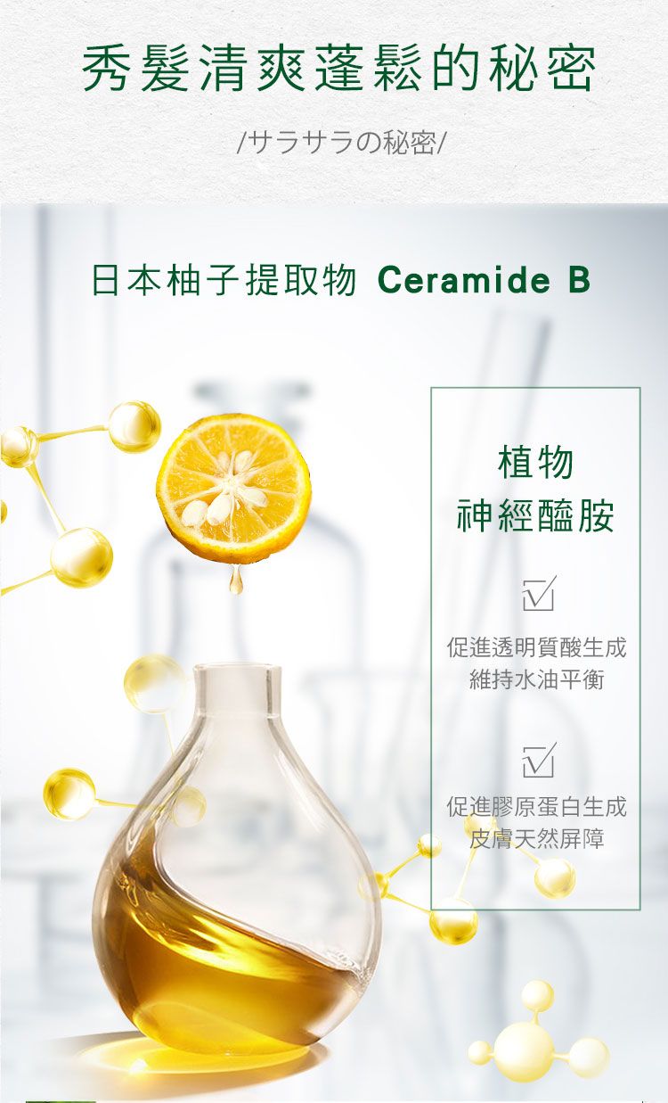 洗髮精 頭髮清潔 無矽靈 洗髮精 洗髮露 頭髮清潔