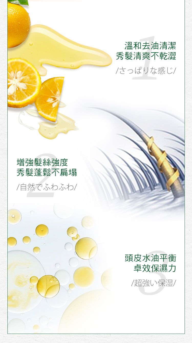 洗髮精 頭髮清潔 無矽靈 洗髮精 洗髮露 頭髮清潔