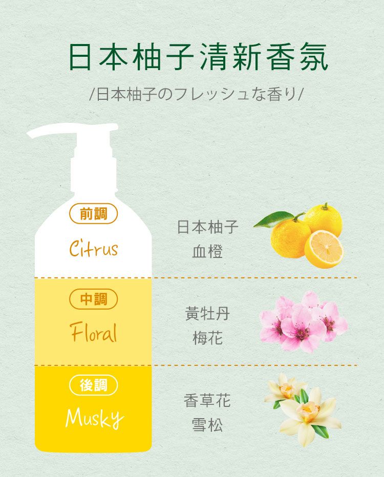 洗髮精 頭髮清潔 無矽靈 洗髮精 洗髮露 頭髮清潔