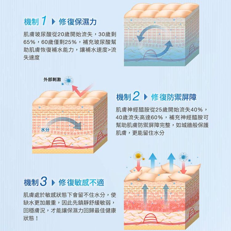 臉部保養 保濕 精華液 臉部保養 清爽 保濕