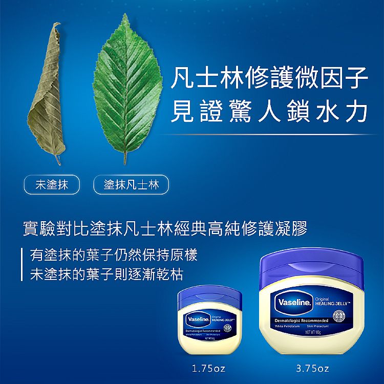 溫和 保濕 舒緩 保濕 保濕 精華液