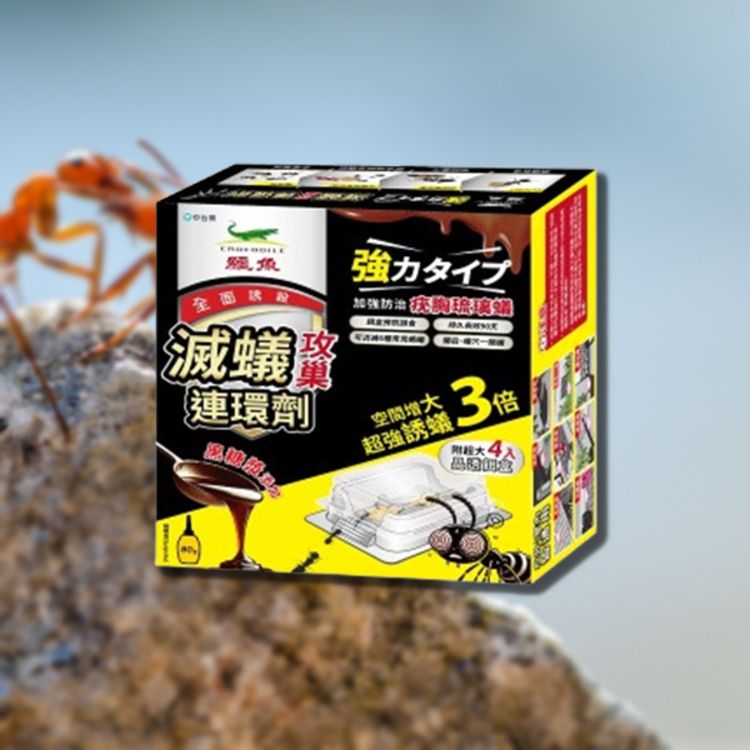 室內 鱷魚