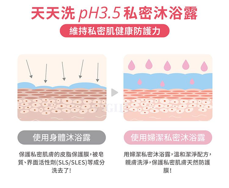 20260521170859640_750_0_80.jpg 婦潔 私密處清潔 私密沐浴露 私密處清潔 婦潔 私密沐浴露