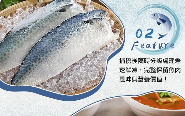 愛上新鮮 鯖魚 i3Fresh 鯖魚 冷凍 i3Fresh
