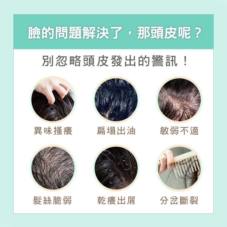 養髮液 頭皮護理 養髮液 淨化 頭皮淨化液 頭皮護理