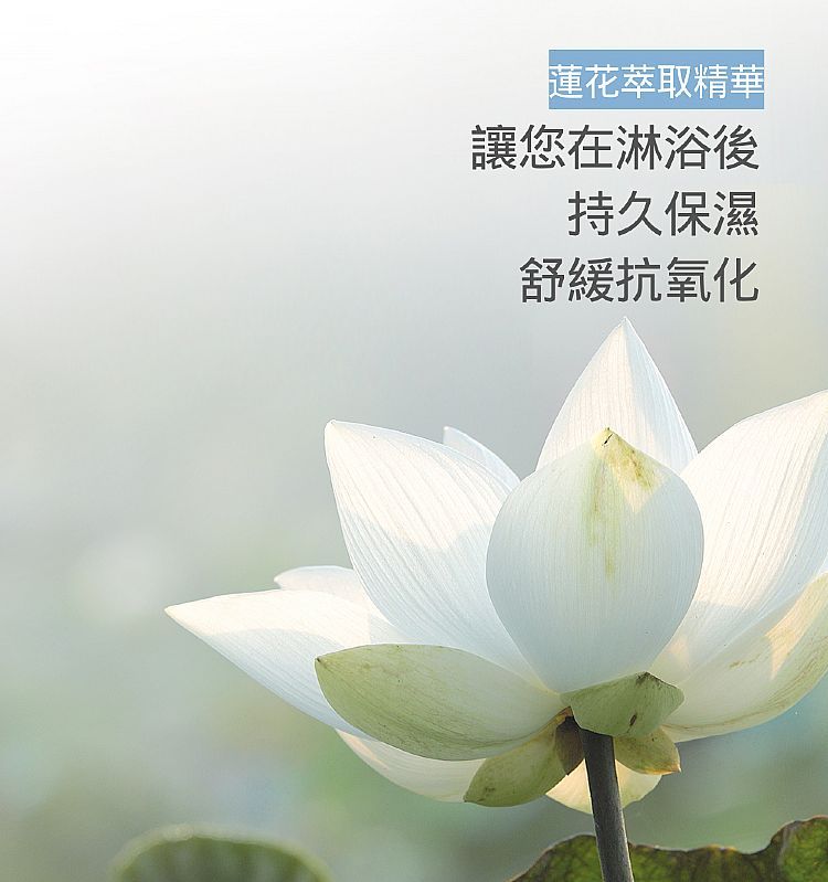 沐浴乳 身體清潔 沐浴露 身體清潔 沐浴精 身體清潔
