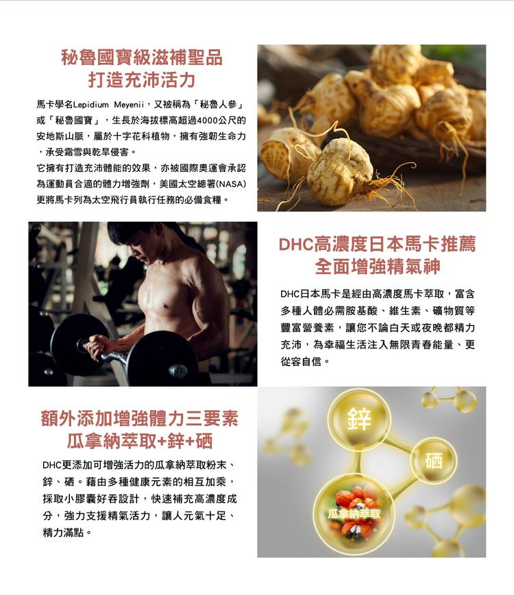 保健食品 營養補給 DHC 保健食品 30日份 DHC