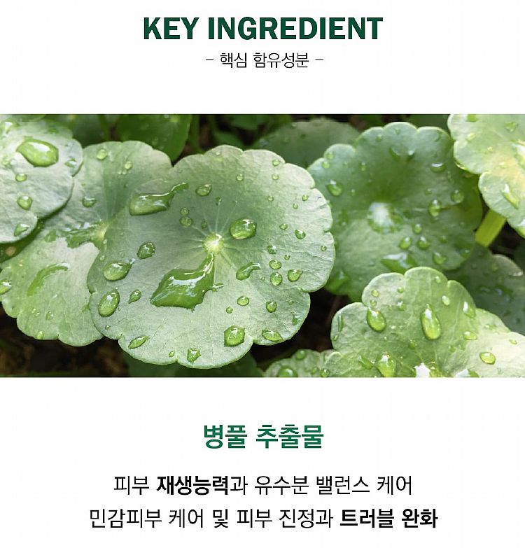 韓國 臉部保養 臉部保養 乳液 韓國 積雪草
