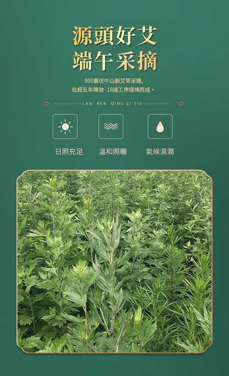 透氣 親膚 輕薄 透氣 草本 親膚