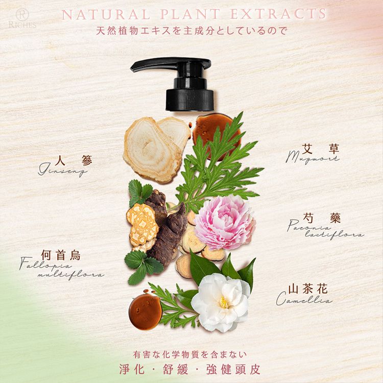 草本 洗髮精 蓬鬆 洗髮精 細軟髮 洗髮精