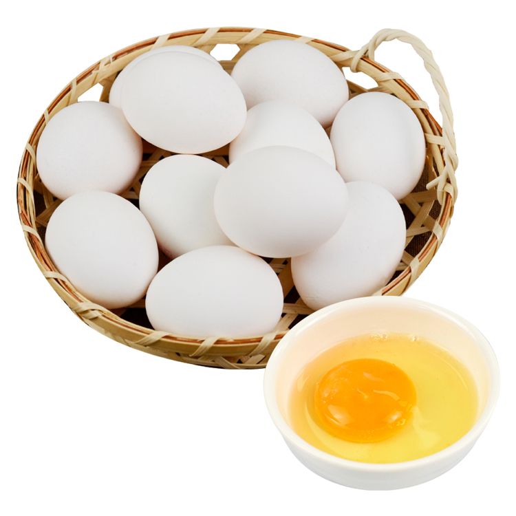 無抗生素 雞蛋