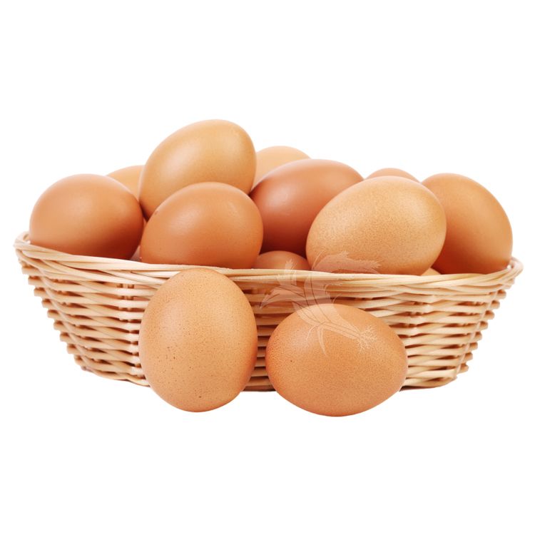 無抗生素 雞蛋 益生菌 雞蛋 機能蛋 無抗生素