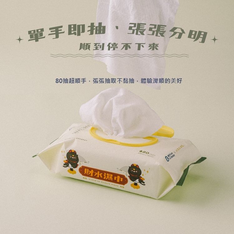 濕紙巾 臺灣