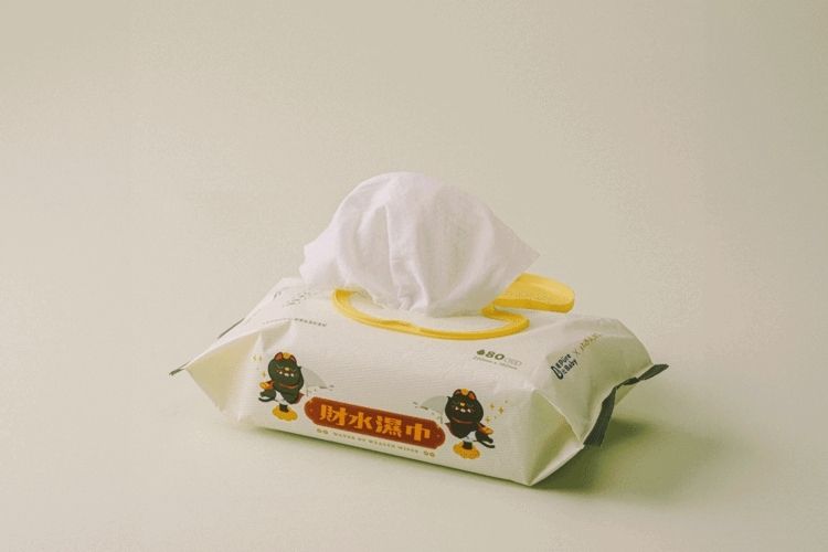 濕紙巾 臺灣