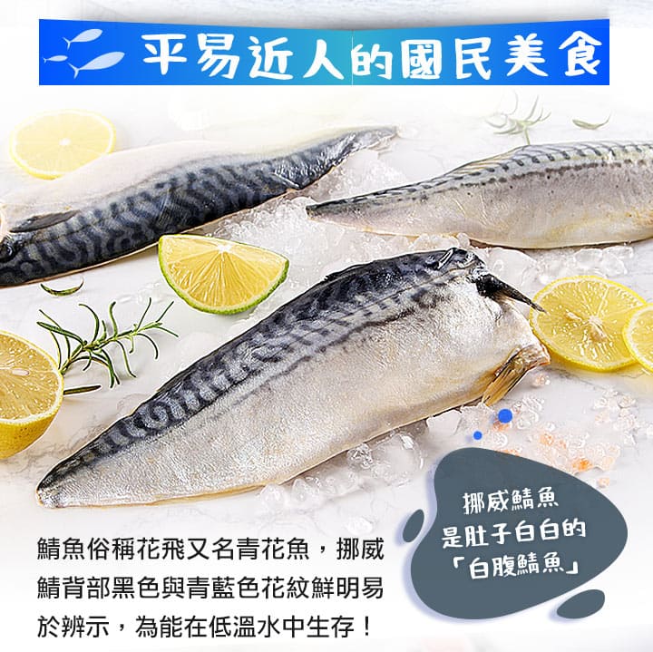 愛上新鮮 鯖魚 i3Fresh 鯖魚 冷凍 i3Fresh