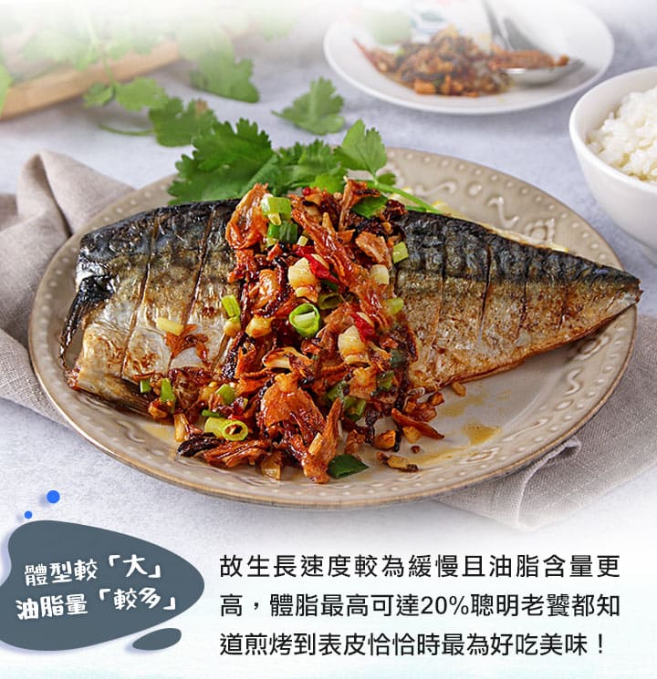 愛上新鮮 鯖魚 i3Fresh 鯖魚 冷凍 i3Fresh