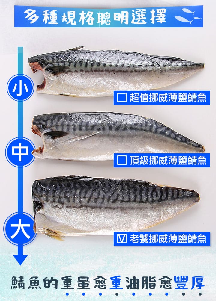 愛上新鮮 鯖魚 i3Fresh 鯖魚 冷凍 i3Fresh