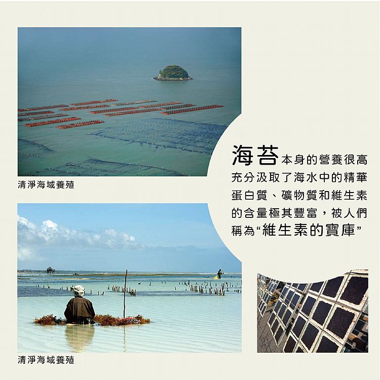 雋品 海苔 HiBs 海苔 胡椒 海苔