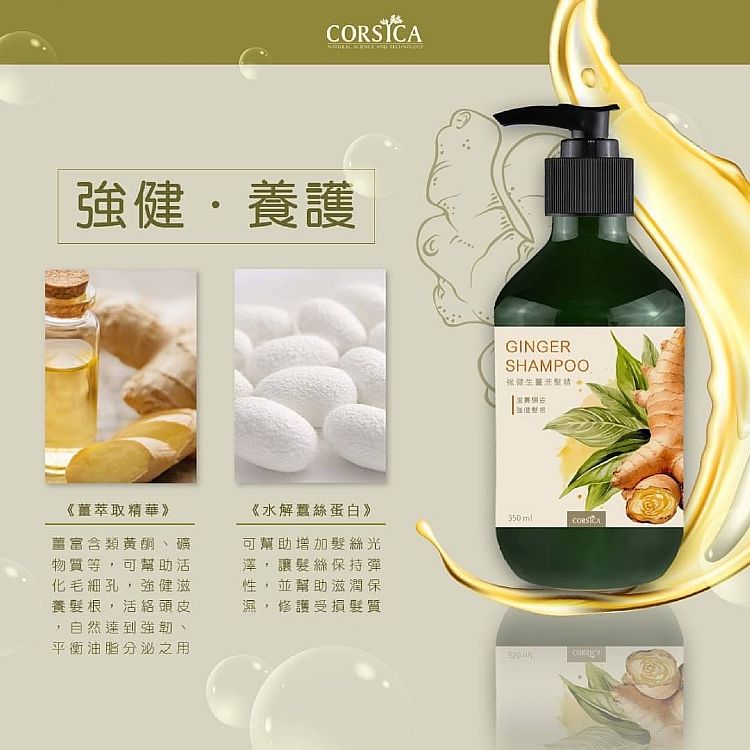 生薑 洗髮精 強健髮根 洗髮精 強健髮根 生薑