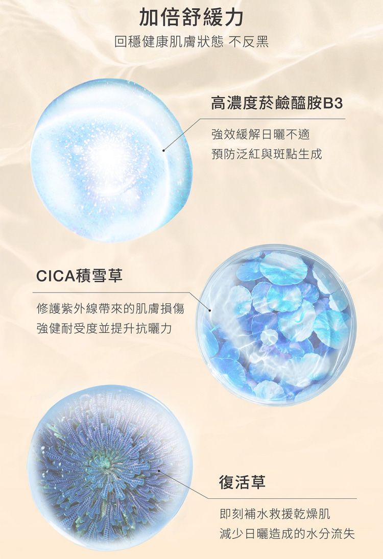 20260304171120913_750_0_80.jpg 舒緩 臉部保養 防曬 臉部保養 防曬乳 防曬