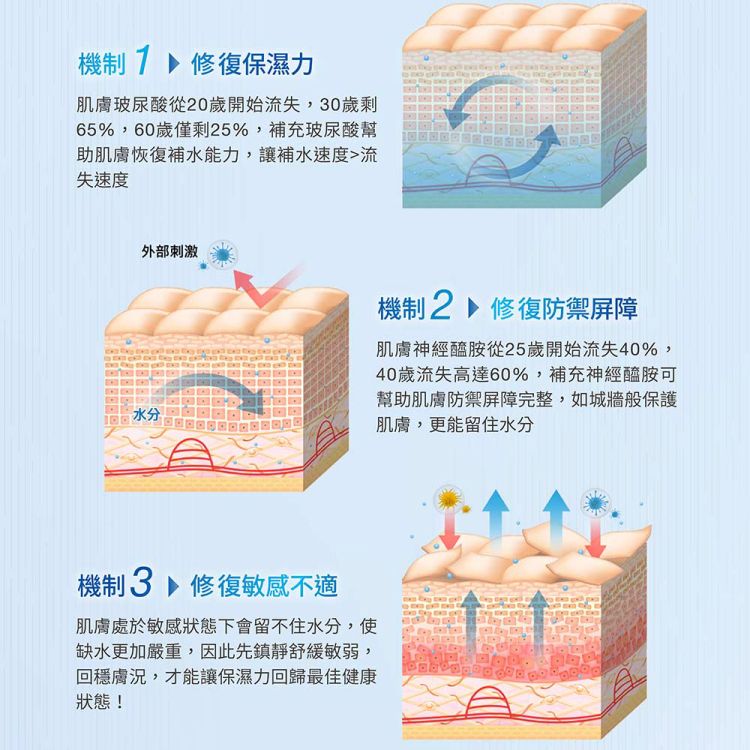 臉部保養 保濕 化妝水 臉部保養 豐潤 保濕