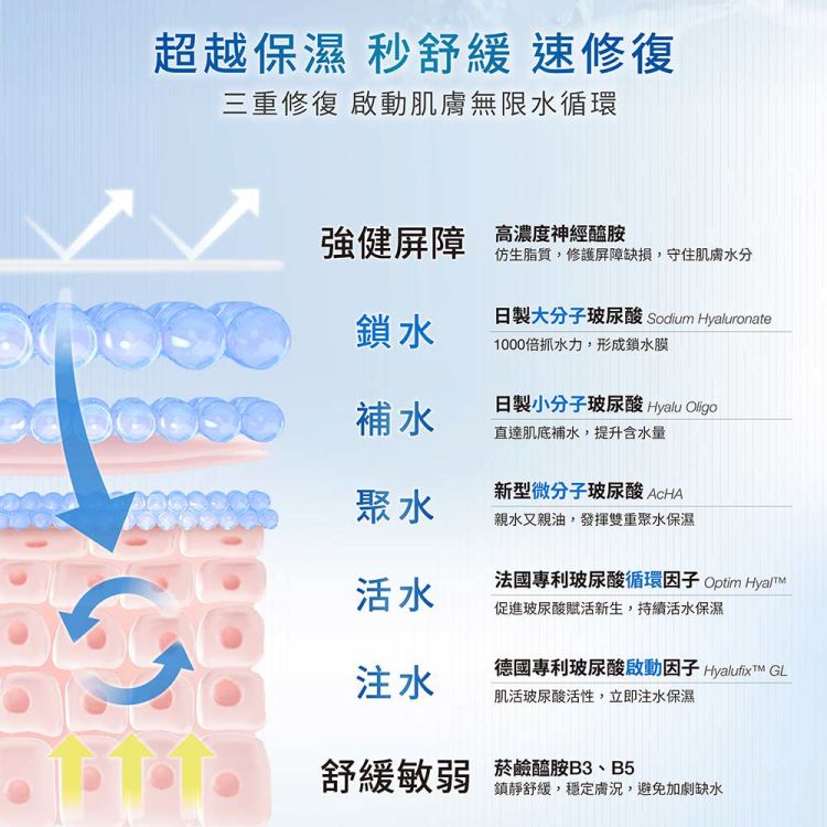 臉部保養 保濕 化妝水 臉部保養 豐潤 保濕