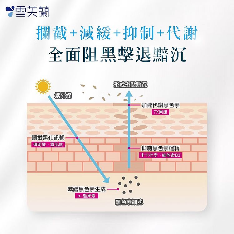 美白 臉部保養 精華乳 臉部保養 淡化斑點 臉部保養